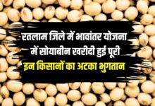 Soybean Bhavantar scheme