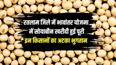 Soybean Bhavantar scheme