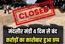 MANDSAUR MANDI NEWS