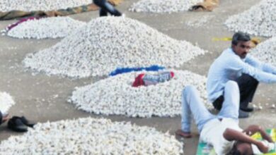 MANDSAUR MANDI REOPEN