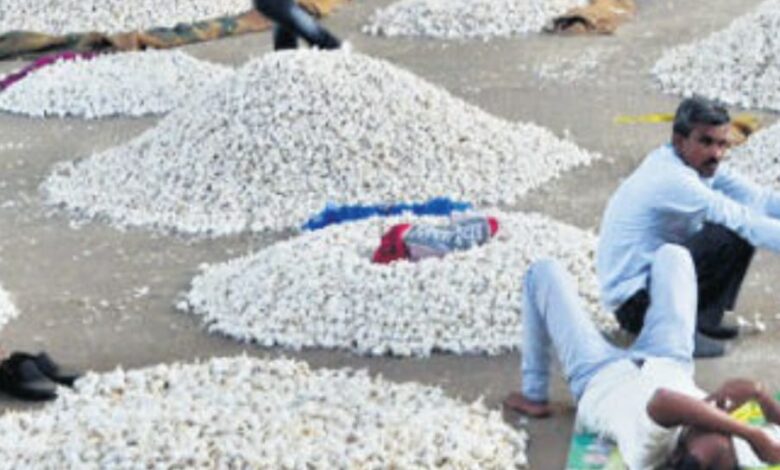 MANDSAUR MANDI REOPEN