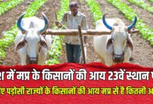 MP FARMER INCOME REPORT