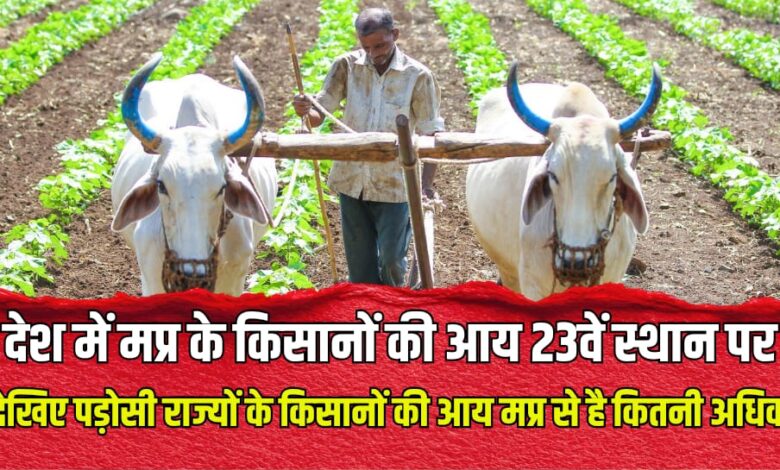 MP FARMER INCOME REPORT