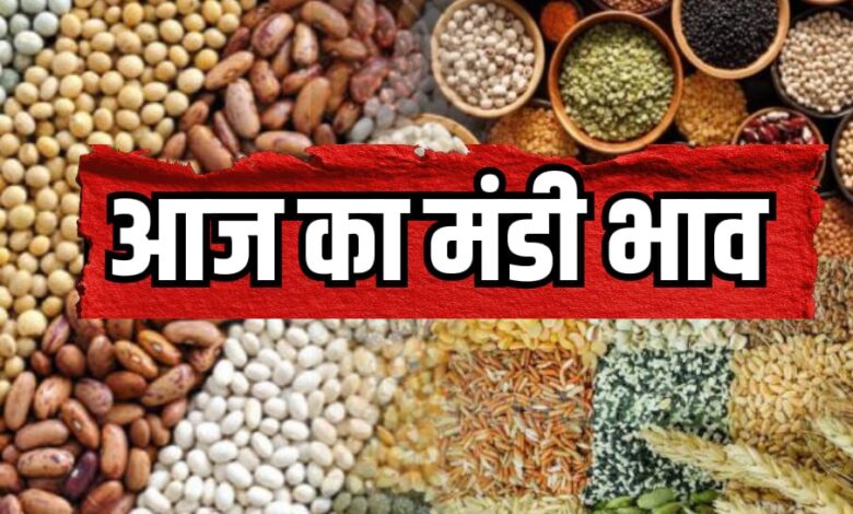 TODAY MANDI BHAV, ONION RATE TODAY, GARLIC RATE TODAY, POTATO TODAY RATE, SOYABEAN RATE UPDATE, आज का मंडी भाव,