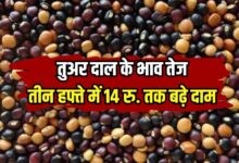 Pigeon pea prices UPDATE