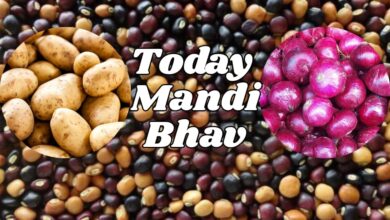 Onion potato supplies strong pigeon pea rate increase