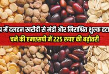 MSP UPDATE, MP NEWS, Gram MSP,