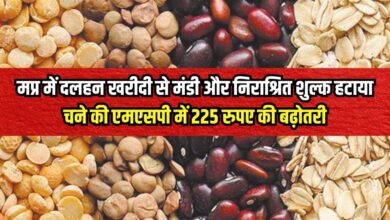 MSP UPDATE, MP NEWS, Gram MSP,