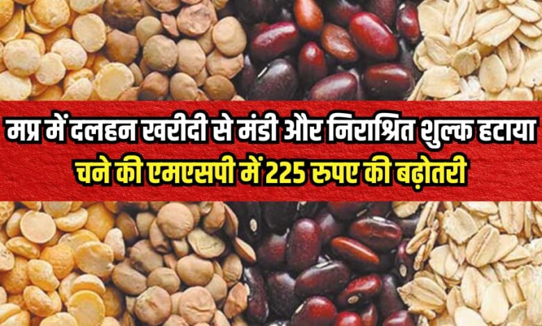 MSP UPDATE, MP NEWS, Gram MSP,