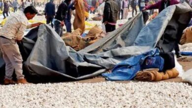 Garlic is wet at the Mandsaur market about rainfall