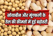 Soybean oil and groundnut oil Rate Hike