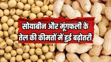 Soybean oil and groundnut oil Rate Hike