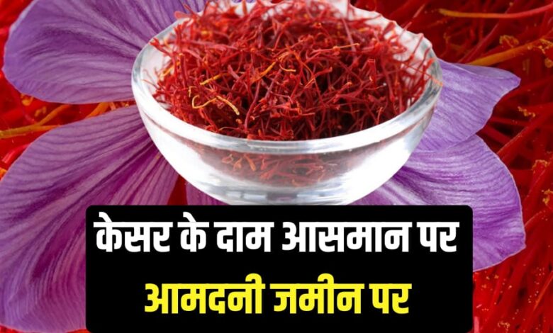 Saffron prices are soaring but incomes are plummeting