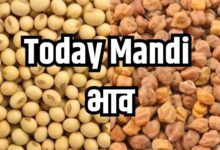 soybeans sold for up to 6254 In the Ratlam market