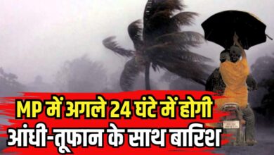 Thunderstorm and rain Alert MP