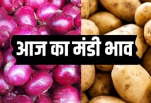 Supply of potatoes onions and garlic has increased see mandi bhav