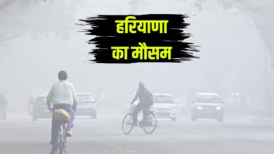 today weather haryana