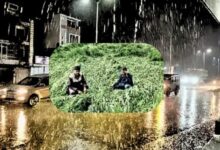 Heavy rainfall occurred in the Jaora area of Ratlam