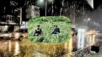 Heavy rainfall occurred in the Jaora area of Ratlam