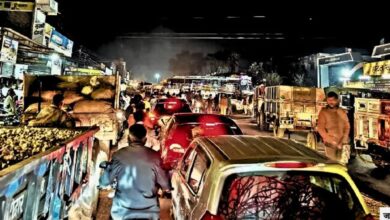 GARLIC MANDSAUR MANDI