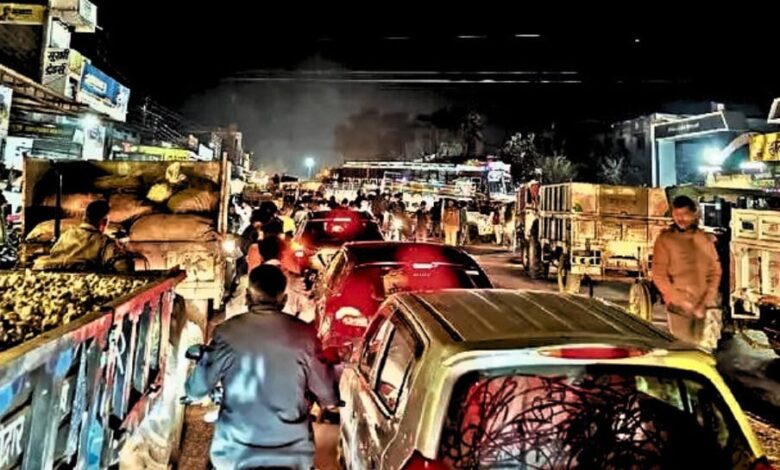 GARLIC MANDSAUR MANDI