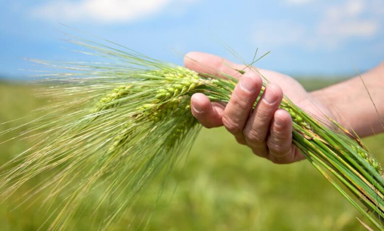 MP NEWS, MSP REGISTRATION UPDATE, MSP REGISTRATION,