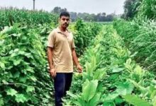 Organic Farming SUCCESS STORY RATLAM