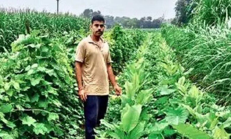 Organic Farming SUCCESS STORY RATLAM