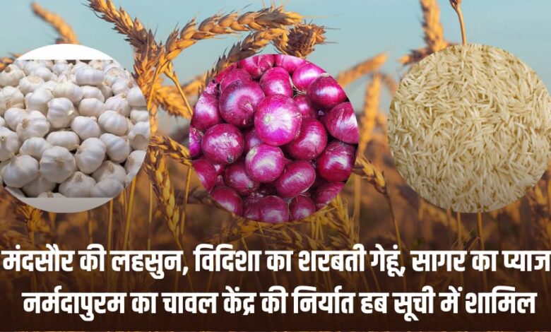 Centrel export hub list