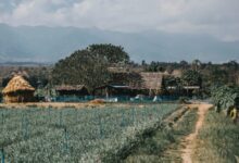 Gram Panchayat Bhainsana