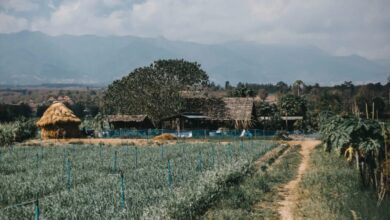 Gram Panchayat Bhainsana