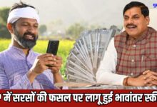 MUSTARD BHAVANTAR SCHEME UPDATE MP