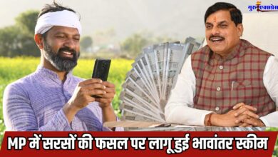 MUSTARD BHAVANTAR SCHEME UPDATE MP