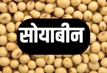 SOYABEAN RATE