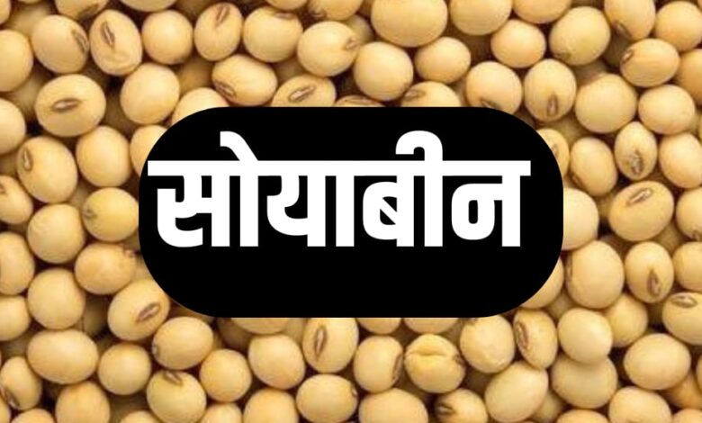 SOYABEAN RATE