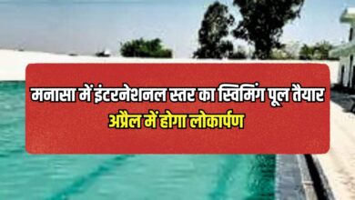 INTERNATIONAL SWIMMING POOL MANASA