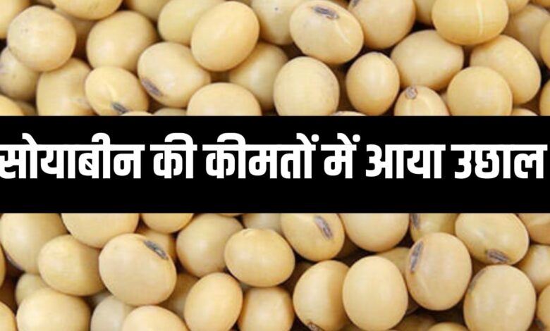 SOYABEEN RATE TODAY