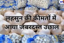 garlic prices HIKE
