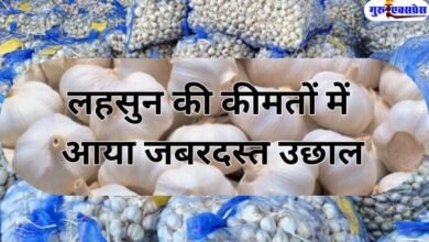 garlic prices HIKE