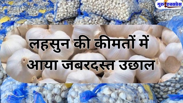 garlic prices HIKE