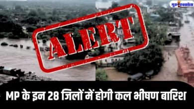RAIN ALERT MP